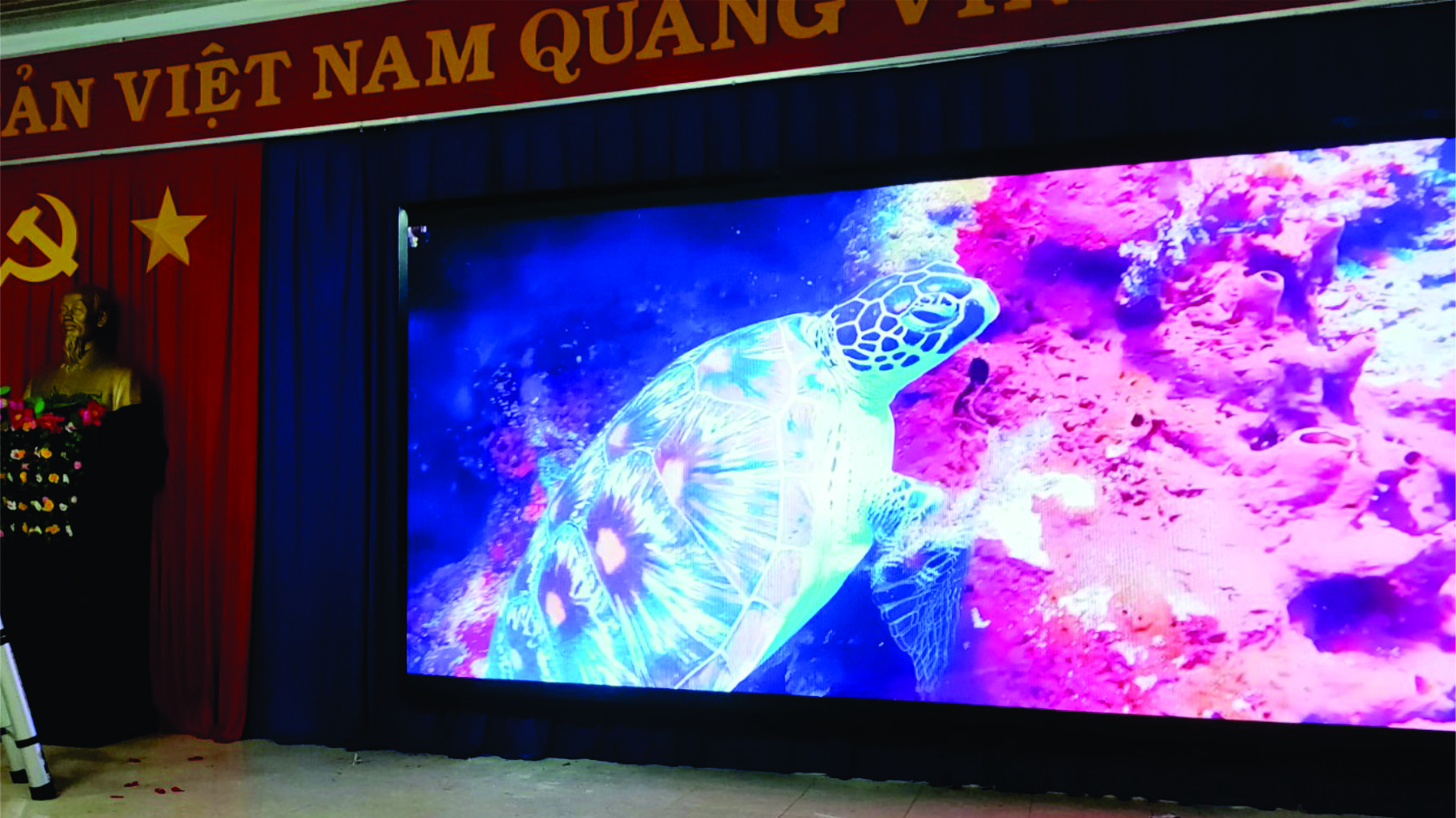 Màn hình LED P2.5 trong nhà